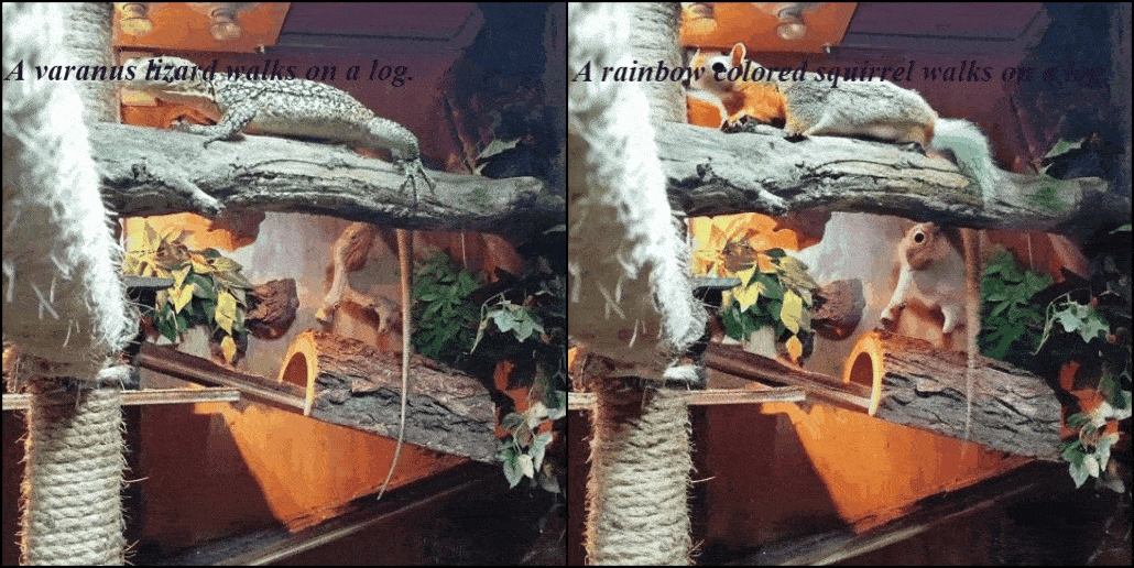 Varanus in cage